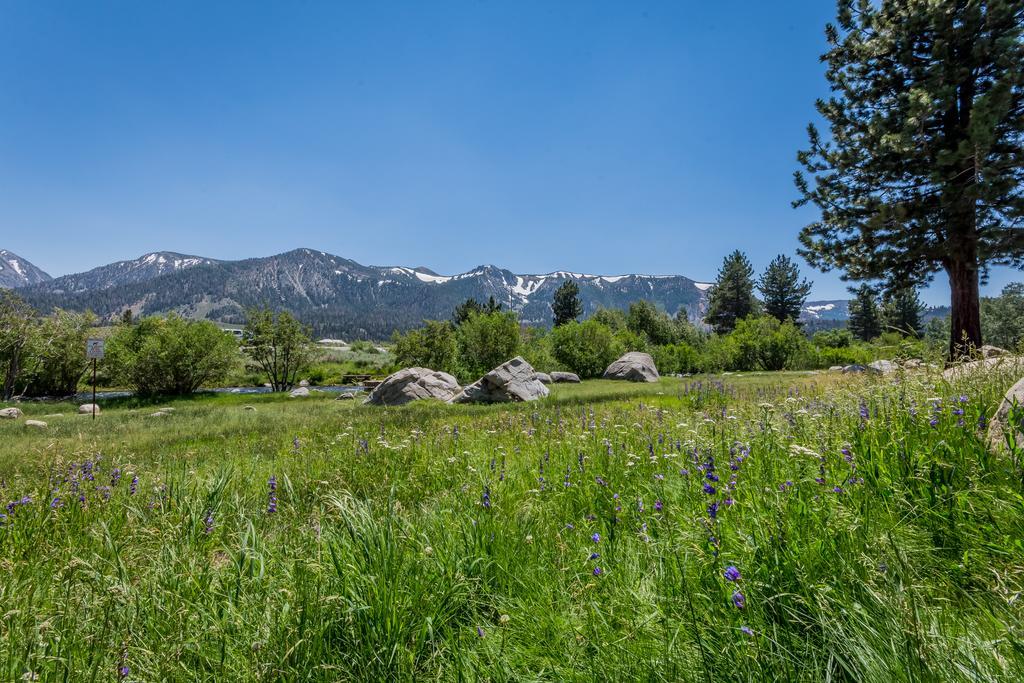 Mammoth Creek Condos Mammoth Lakes Dış mekan fotoğraf